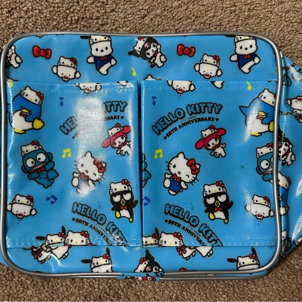 Sanrio friends lined pvc bag